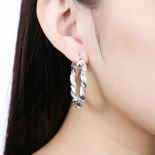 Cargar imagen en el visor de la galería, -ARETES PLATA 925
