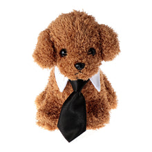 Load image into Gallery viewer, -CORBATA PARA MASCOTAS